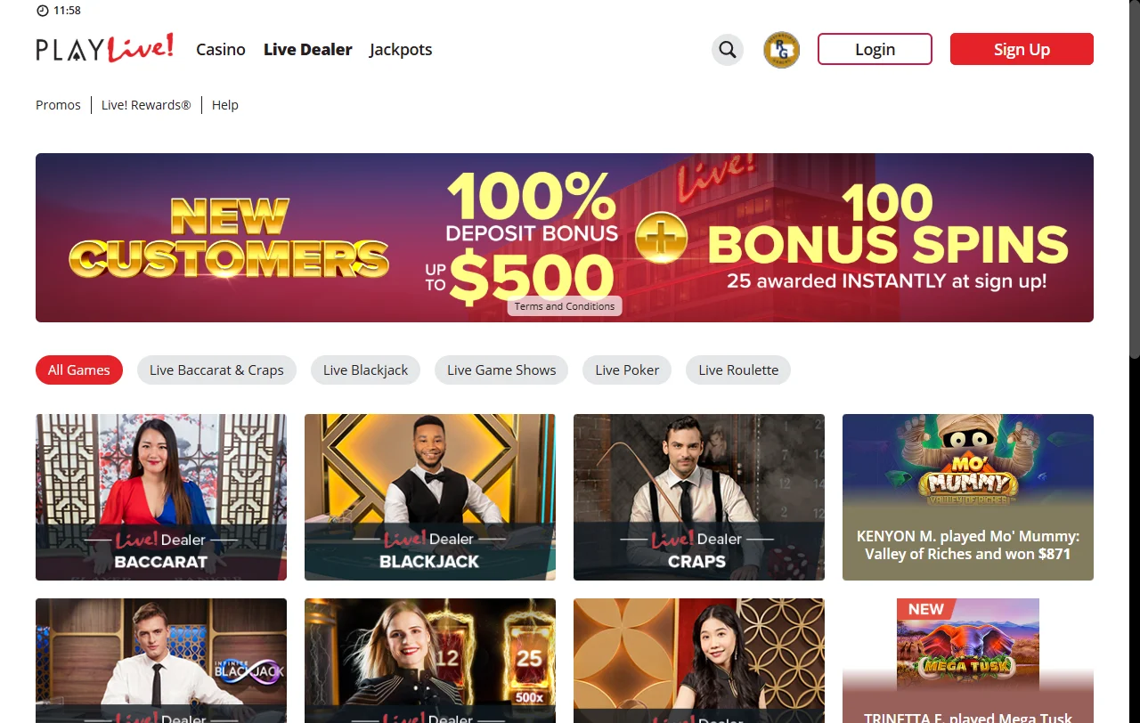 Seleção de jogos e provedores principais PlayLive Casino Brasil