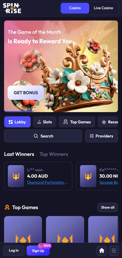 Jogos móveis e compatibilidade no Spinrise Casino Brasil